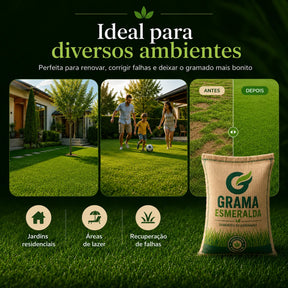 Sementes de Grama Esmeralda Premium – Gramado Denso e Macio