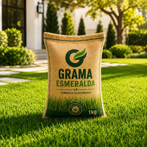 Sementes de Grama Esmeralda Premium – Gramado Denso e Macio