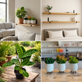 Kit Sala Verde maranta prateleira e cachepot para decoracao de sala