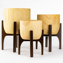 Kit 3 Vasos Decorativo Linha Genebra com Suporte de Madeira