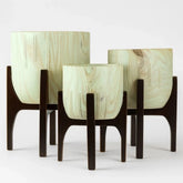 Kit 3 Vasos Decorativo Linha Genebra com Suporte de Madeira