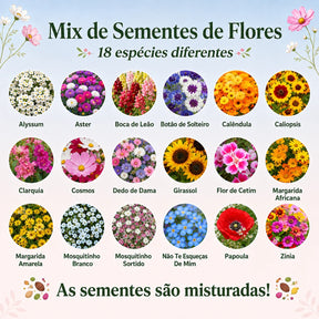 Sementes Sortidas de Flores – Mix com 18 Espécies