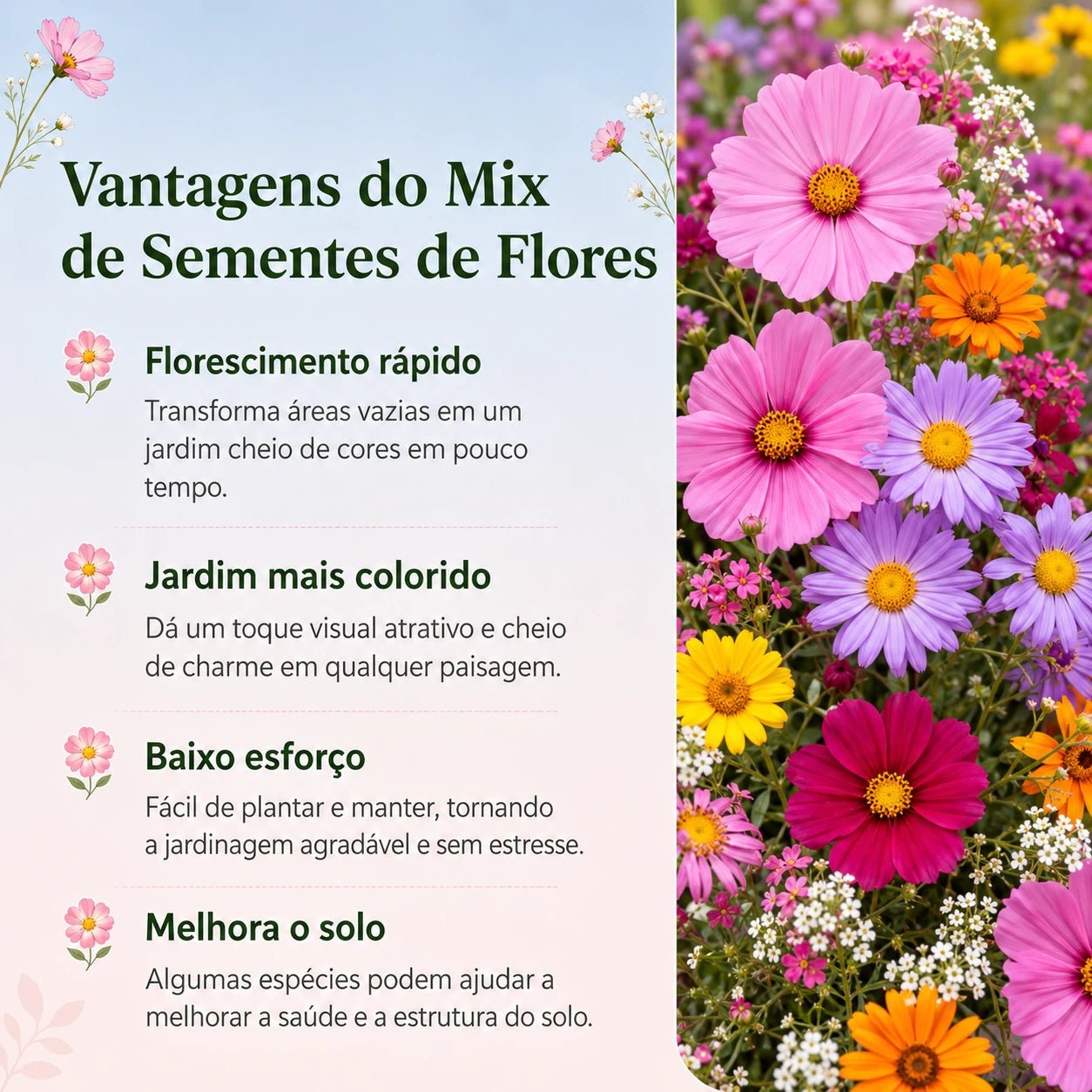 Sementes Sortidas de Flores – Mix com 18 Espécies