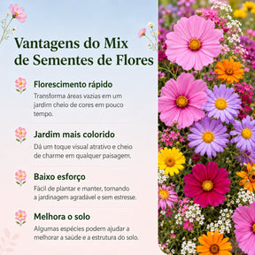 Sementes Sortidas de Flores – Mix com 18 Espécies