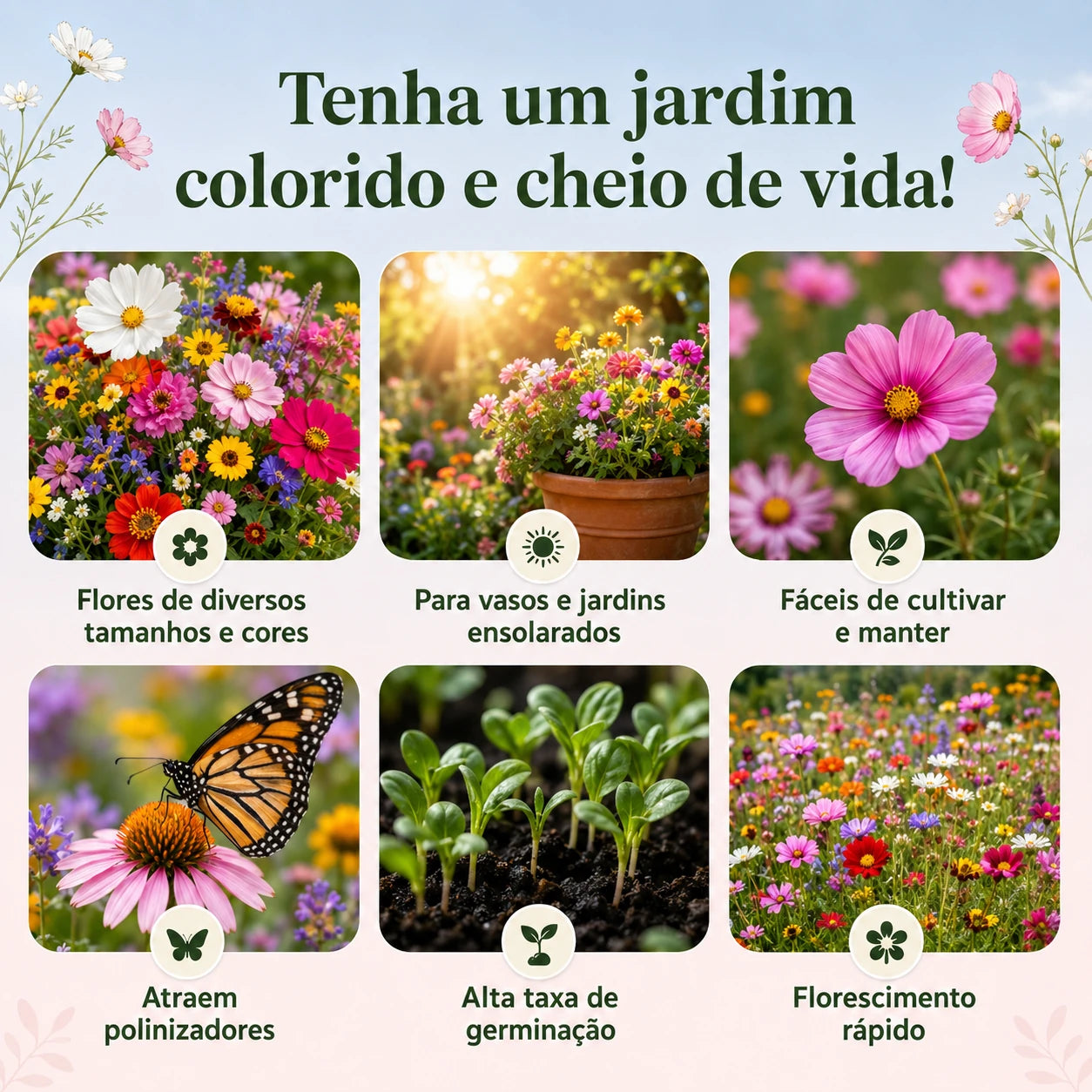 Sementes Sortidas de Flores – Mix com 18 Espécies
