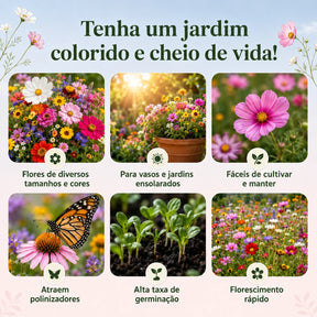 Sementes Sortidas de Flores – Mix com 18 Espécies