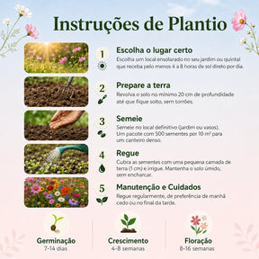 Sementes Sortidas de Flores – Mix com 18 Espécies