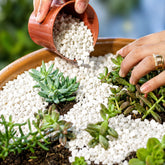 Pedra branca 3kg para decoracoes de aquarios jardins e vasos em geral