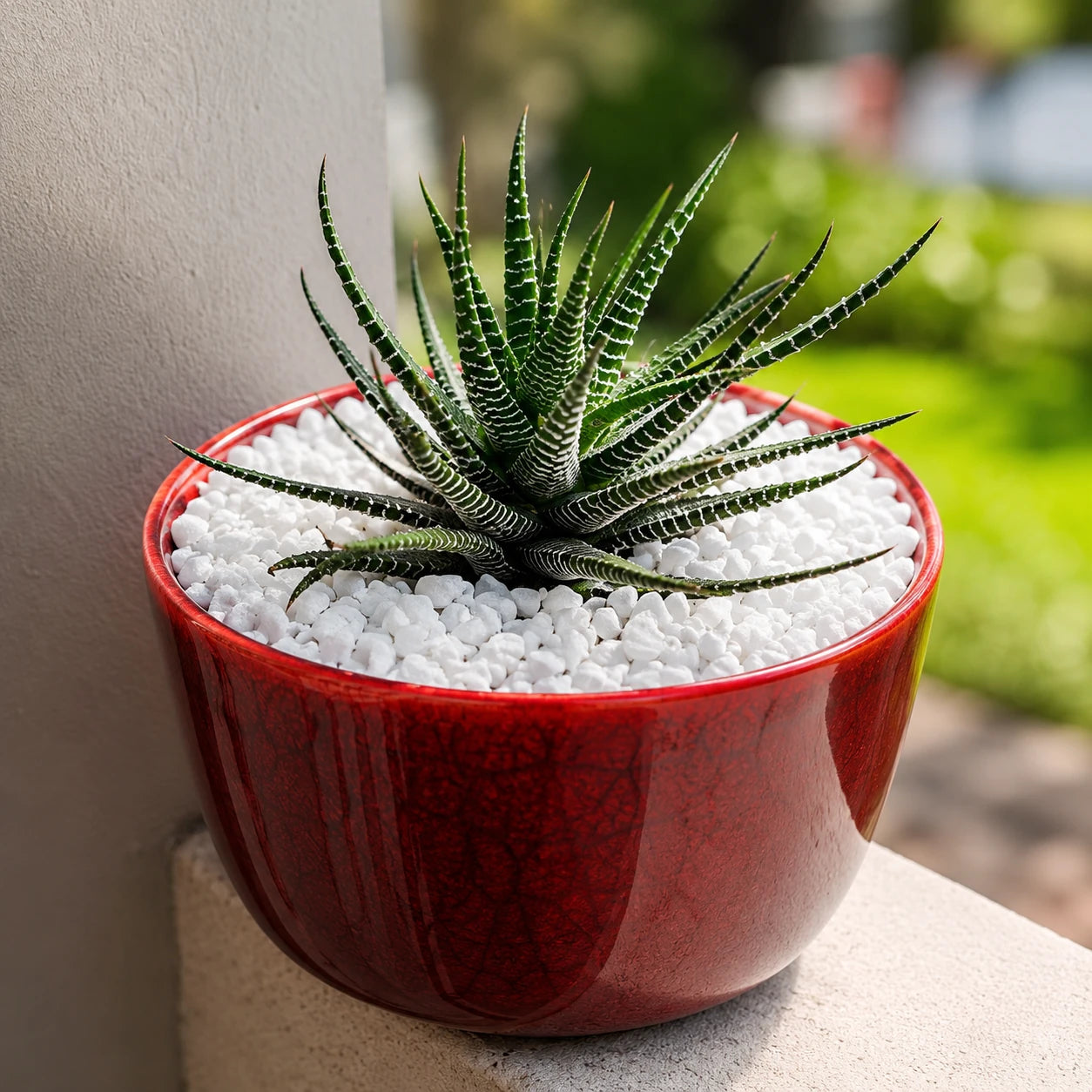 Pedra Branca Granitina 3kg — Vasos, Jardins e Aquários
