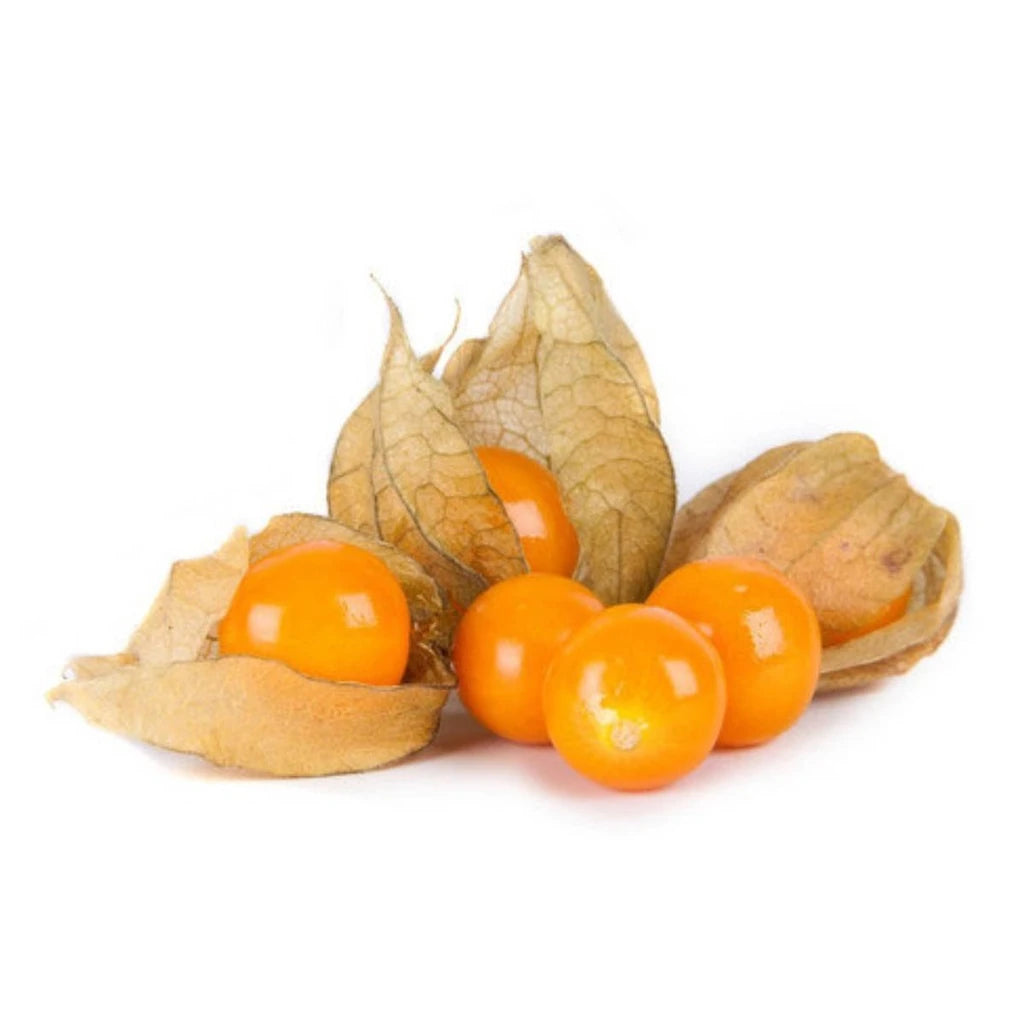 Sementes de Fisális GoldenBerry – Fruto Exótico para Casa