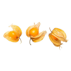 Sementes de Fisális GoldenBerry – 700 mg de Alta Germinação