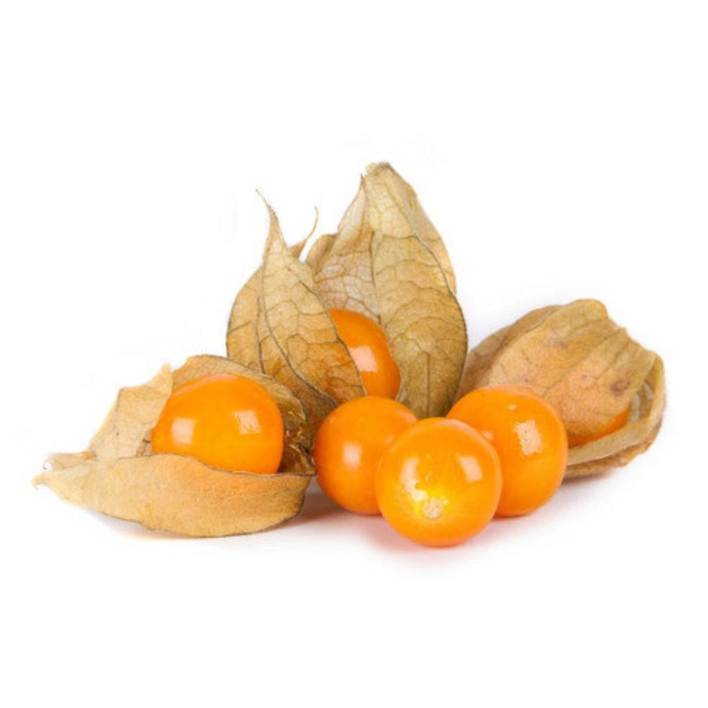 Sementes de Fisális GoldenBerry – 700 mg de Alta Germinação