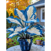 Caladium Bioflux – 100 Sementes com Guia Completo de Cultivo