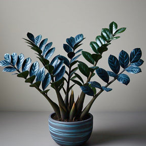 Zamioculcas Tempestade Azul – 100 Sementes Raras com Guia Completo de Plantio