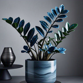 Zamioculcas Tempestade Azul – 100 Sementes Raras com Guia Completo de Plantio