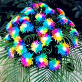 Sementes de Orquídea Arco-Íris (300 unid.) – Perfeita para Mudas e Coleções