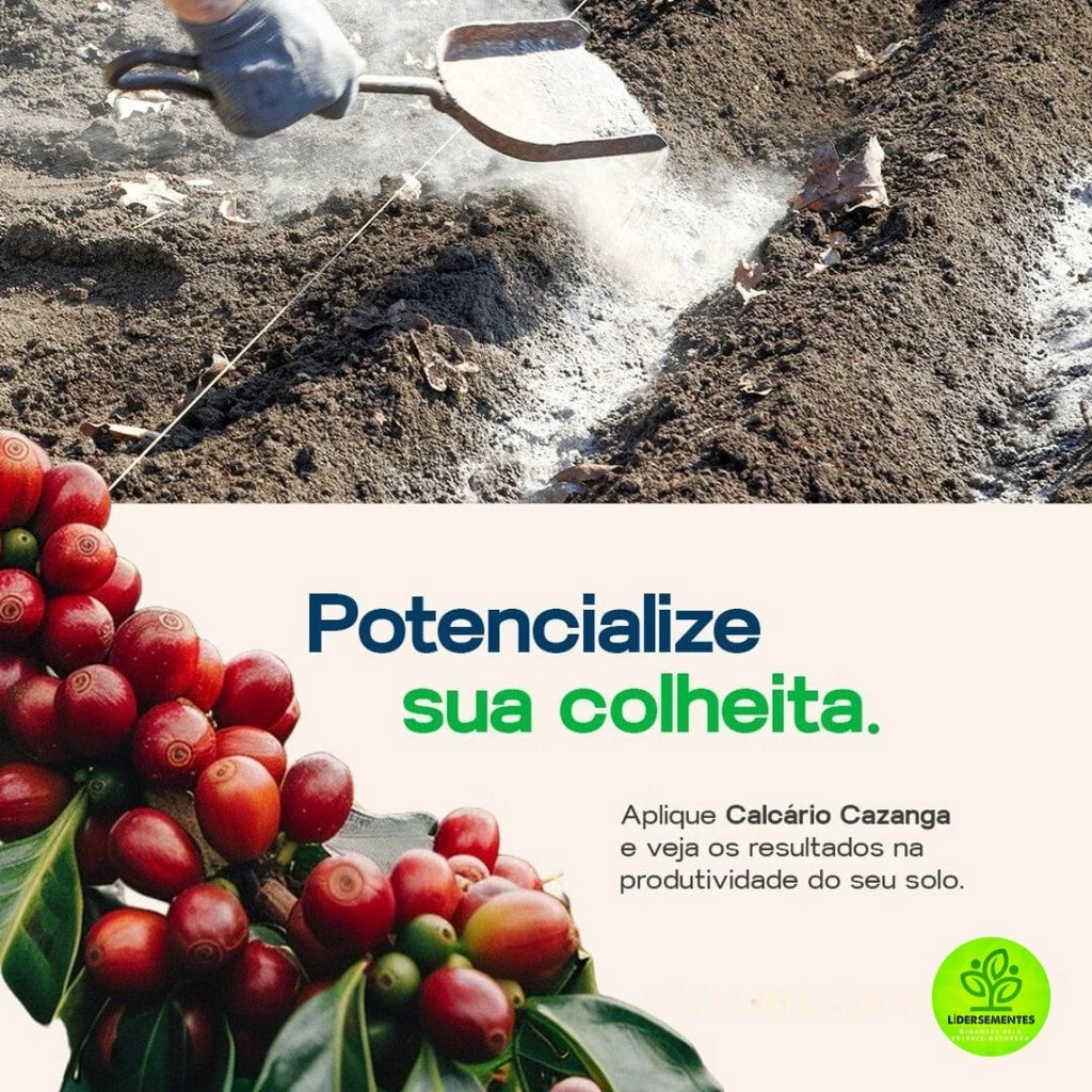 Calcario agricola dolomitico corretor de solo para hortas e flores