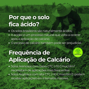 Calcário Agrícola Dolomítico Prnt 80% Fracionado Calcio e Magnésio Corretor De Solo Hortaliças Flores Rosas do Deserto G