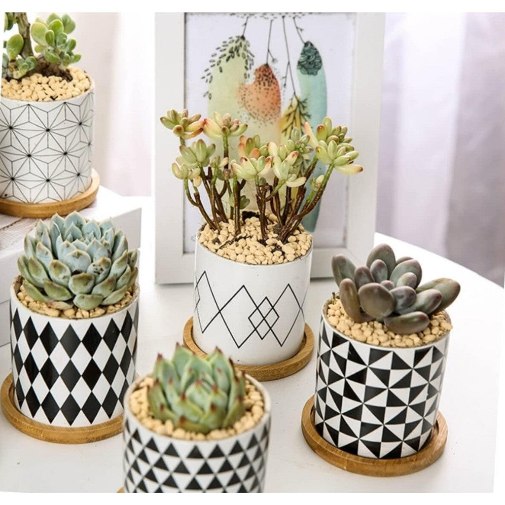 Vaso de flor Cachepô Decorativo Plastico