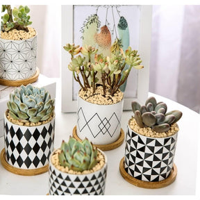 Vaso de flor Cachepô Decorativo Plastico