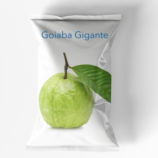 Sementes de Goiaba Gigante para Cultivo em Vasos