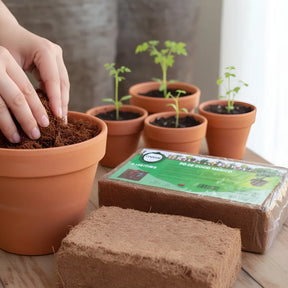 Pó De Coco Mágico Coquim Substrato Orgânico Para Plantas - Ideal para Vaso, Jardim, Orquídea, Rosa, Lírio, Suculenta e Horta