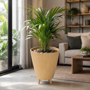Vaso canelado bege com planta em sala iluminada
