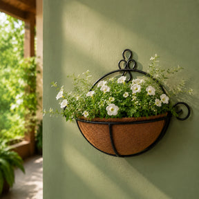 Meio vaso de fibra de coco com flores brancas em parede verde
