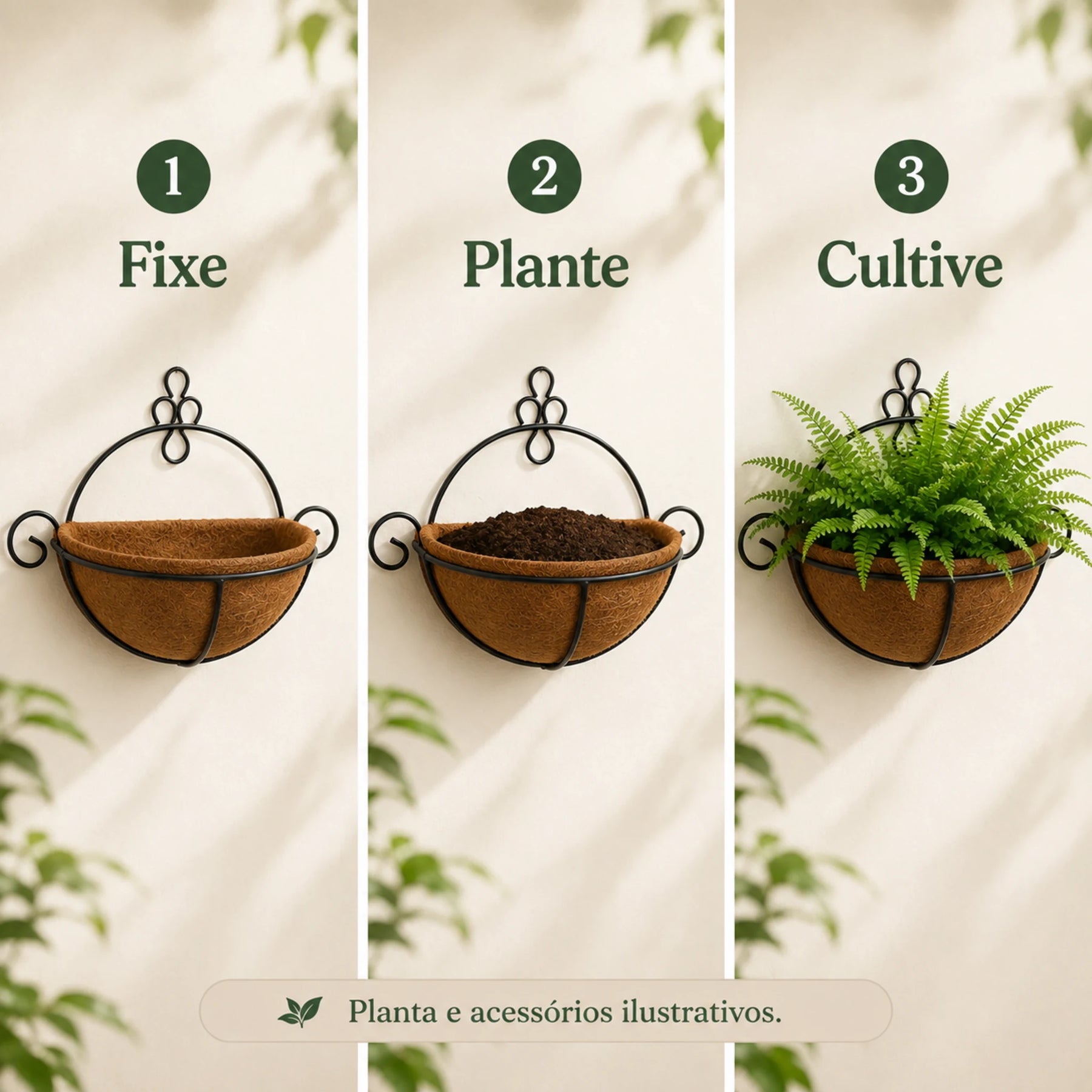 Etapas de instalação, plantio e cultivo no meio vaso de parede
