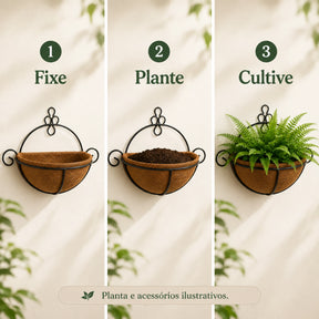 Etapas de instalação, plantio e cultivo no meio vaso de parede