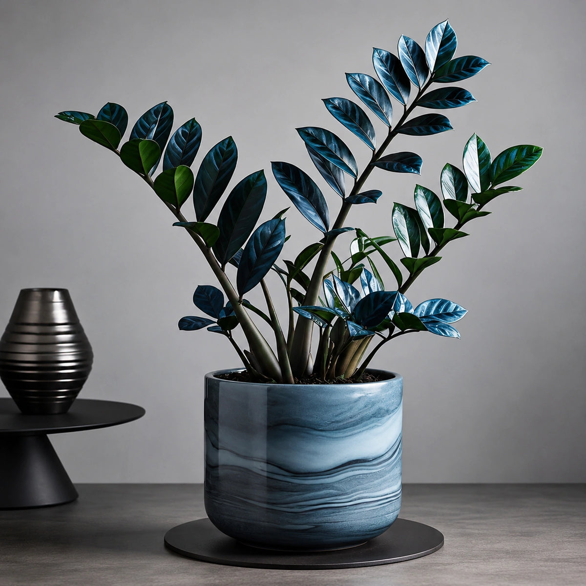 Zamioculcas Tempestade Azul – 100 Sementes Raras com Guia Completo de Plantio