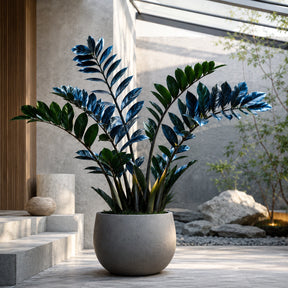Zamioculcas Tempestade Azul – 100 Sementes Raras com Guia Completo de Plantio