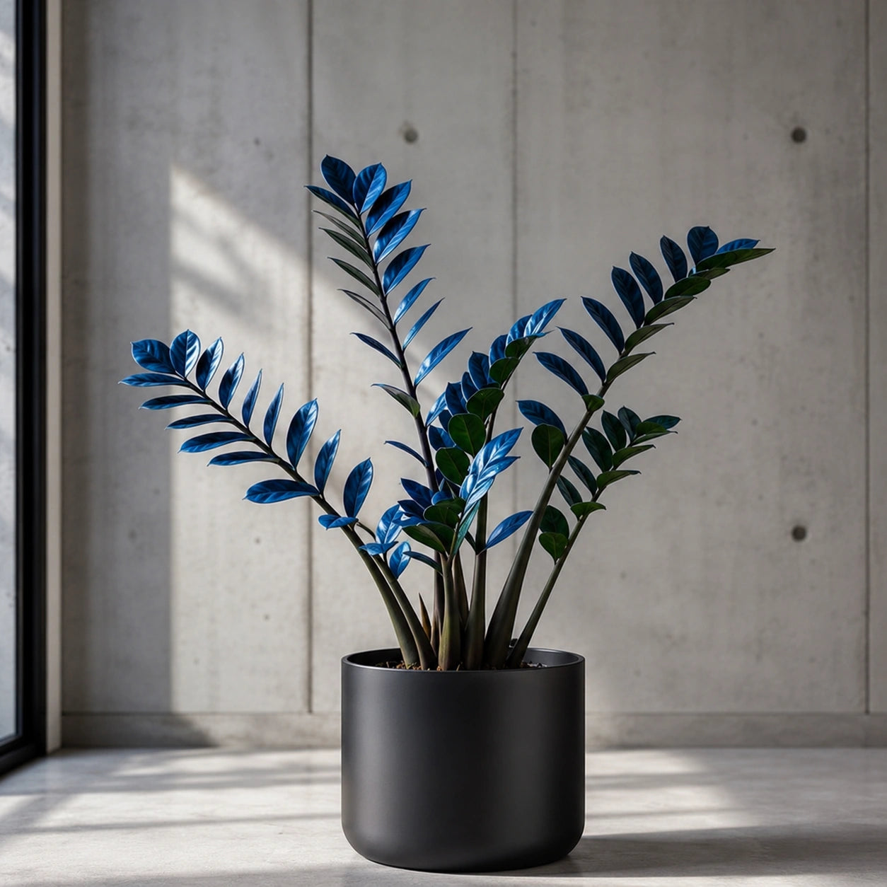 Zamioculcas Tempestade Azul – 100 Sementes Raras com Guia Completo de Plantio