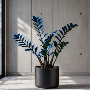 Zamioculcas Tempestade Azul – 100 Sementes Raras com Guia Completo de Plantio